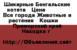 Шикарные Бенгальские котята › Цена ­ 25 000 - Все города Животные и растения » Кошки   . Приморский край,Находка г.